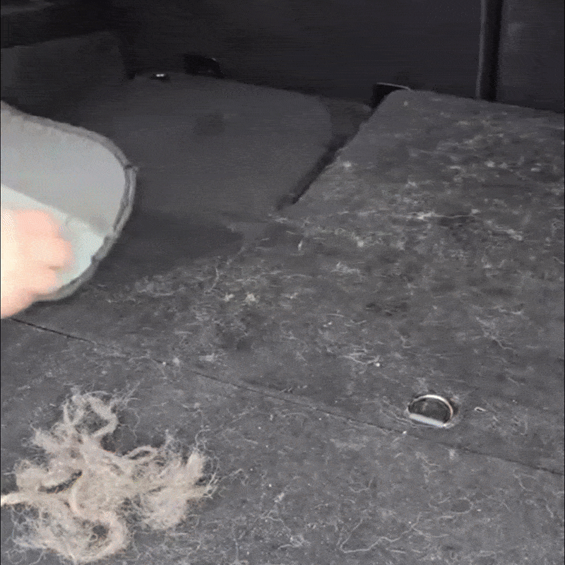 Magic Brush – ¡Nuestro superventas