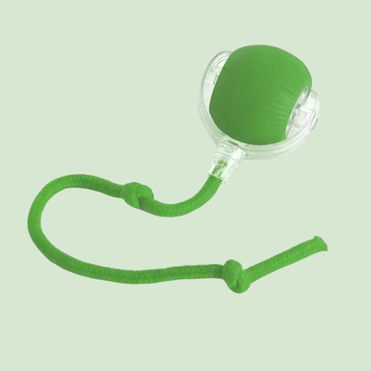 Pelota Mágica para gatos