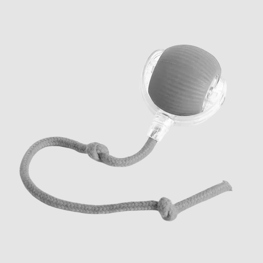 Pelota Mágica para gatos