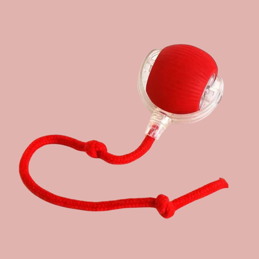 Pelota Mágica para gatos