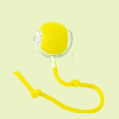 Pelota Mágica para gatos