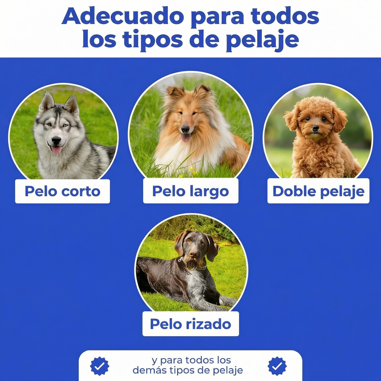 Cepillo Pro™ - El más vendido