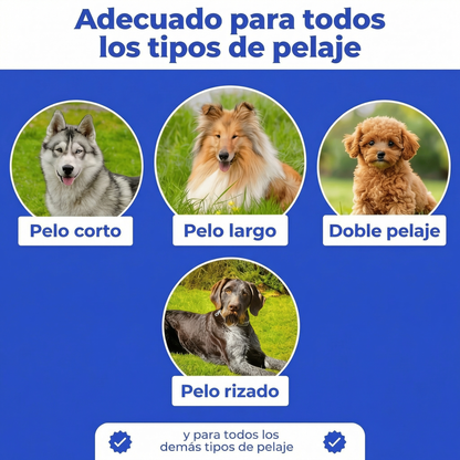 Cepillo Pro™ - El más vendido
