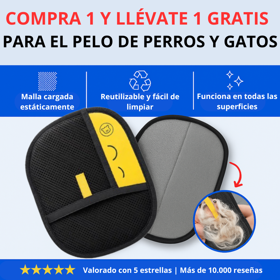 Magic Brush – ¡Nuestro superventas