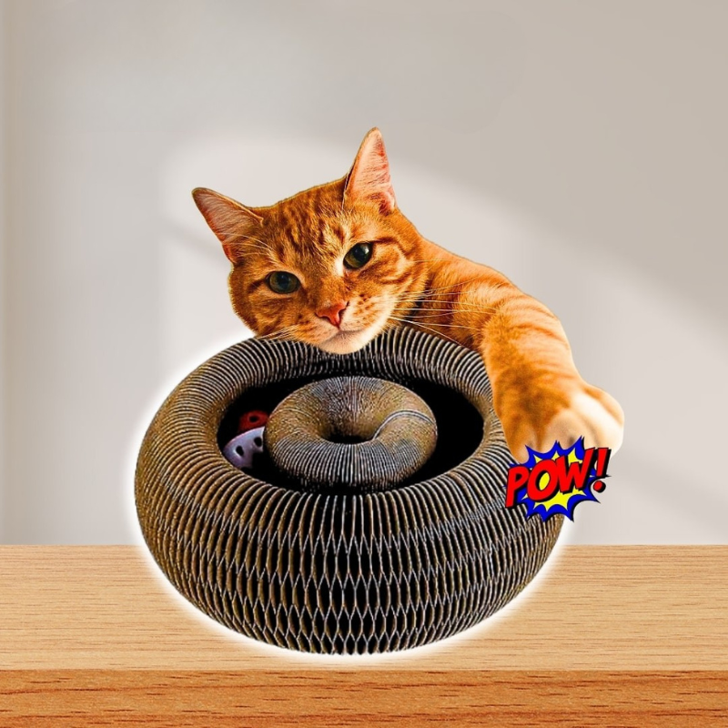 rascador espiral para gatos 